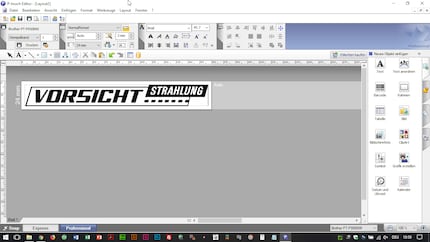 The Professional interface is slightly more chaotic but easier to handle once you get used to it.