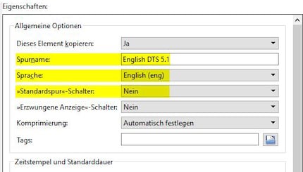 Da bereits eine Tonspur als Standardspur markiert wurde, wähle ich bei der englischen Tonspur «Nein» oder «Automatisch festlegen».