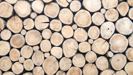In der Schweiz wird gerodetes Holz stets woanders wieder aufgeforstet.