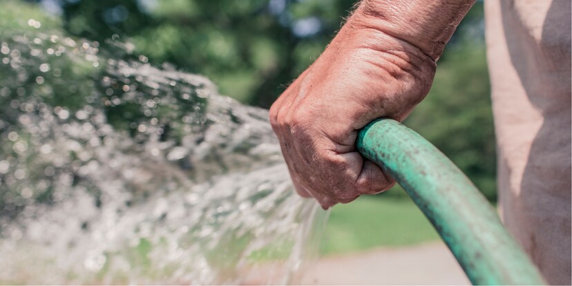 So giesst du deine Pflanzen wassersparend