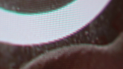 Here you see the pixel shift in slow motion: the grid of pixels is constantly moving back and forth