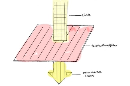 Non-polarised light passes through the filter, which filters out all light waves that oscillate horizontally
