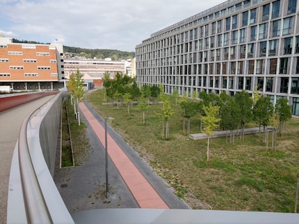 Ein Blick auf die Allee vor dem Westpark-Gebäude