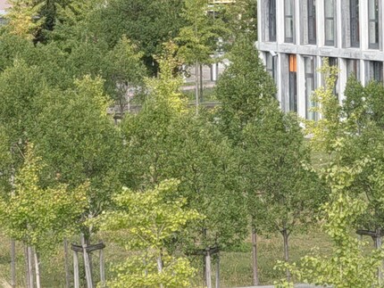 Mit dem digitalen Zoom vergrössere ich den Ausschnitt um ein Zehnfaches