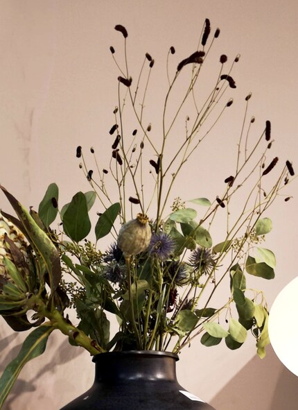 Eukalyptus, Protea, Distel (Alpen- Mannstreu), Mohnkapsel