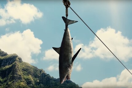 2. Fischfutter für den Fischdino