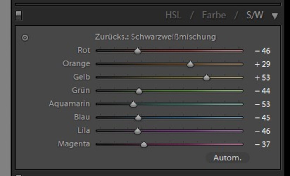 Durch Betonung von Gelb und Orange wird die Blume herausgehoben.