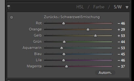 Durch Betonung von Gelb und Orange wird die Blume herausgehoben.