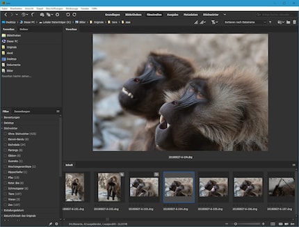 View RAW and DNG files: The view «filmstrips» is suitable for viewing an entire folder.