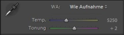 Die Regler bei einem RAW-File
