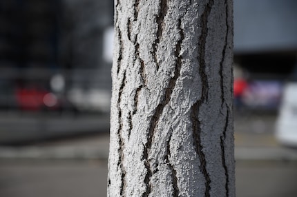 Licht von der Seite