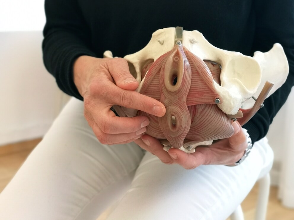 Jutta Wunderlin zeigt mir anhand eines Modells, wie sich falsches Toilettenverhalten auf unseren Körper auswirkt.
