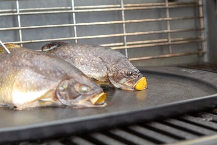 In dieser Position bleibt der Fisch nicht am Rost hängen.
