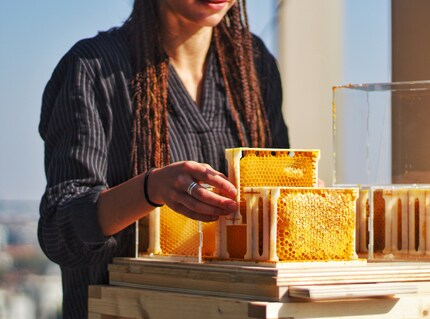 Statt einem grossen Blatt, befinden sich 16 Bienenwaben in der Box, um flexibler produzieren zu können. Bild: Beeing