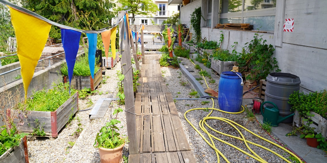 So gelingt deine individuelle Gartenbewässerung: die Planung