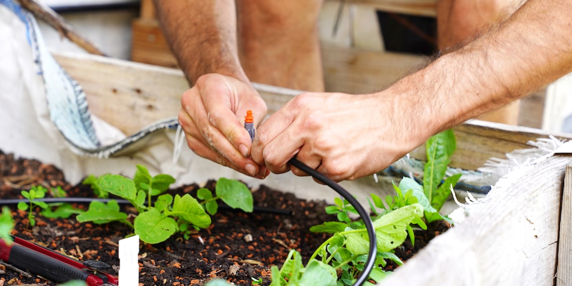 So gelingt deine individuelle Gartenbewässerung: die Umsetzung