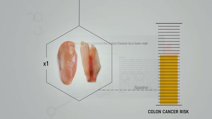 Schöne Illustrationen und Statistiken unterstreichen das Gesagte