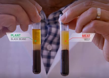 Der Unterschied im Blut zwischen zwei Mahlzeiten