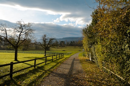Vorher