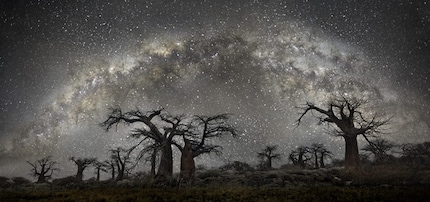 Bild: Beth Moon