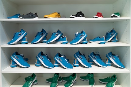 The Enda collection.