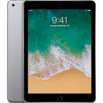 Apple iPad (2018) (nur WLAN, 9.70", 32 GB, Space Gray)