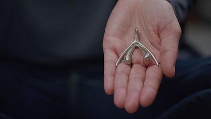 This is what the entire clitoris looks like. Source: Netflix, the goop lab