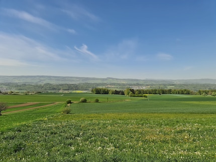 Zoom: 1x, aufgenommen mit dem Samsung Galaxy S20 Ultra