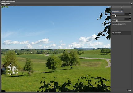 Das Ausprobieren der Filter macht wenig Spass, da die Software nicht nachkommt mit Rechnen.