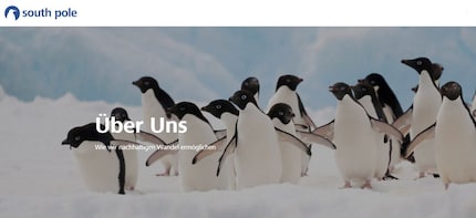 A screenshot of southpole.com/de/warum-spg. Penguins play a leading role.