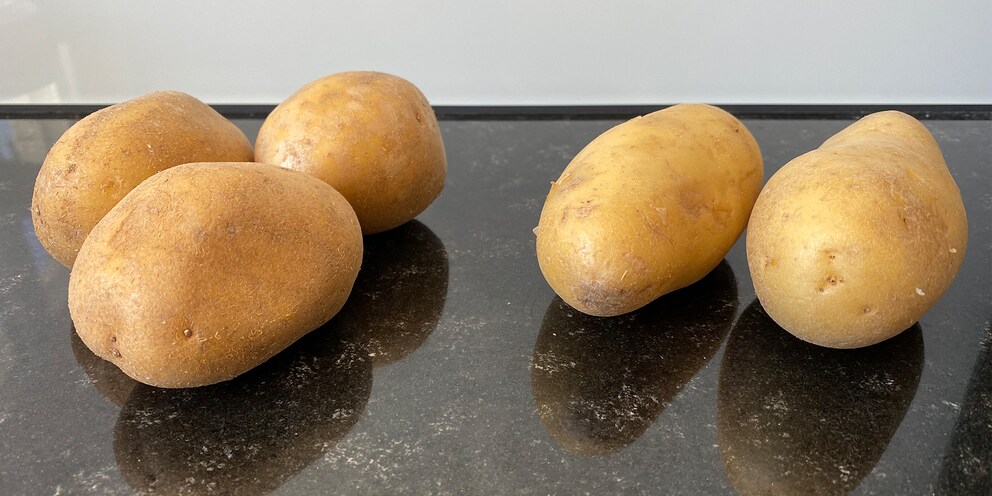 Drei mehlig- und zwei festkochende Kartoffeln, bevor sie zu Pommes Frites geschnitten werden.