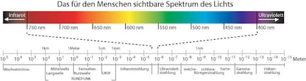 Source: wikimedia.org/Horst Francs