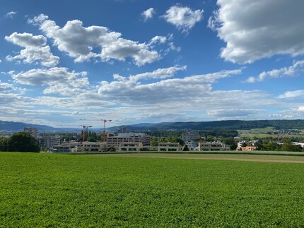 Das selbe Panorama aus dem iPhone 11 Pro Max