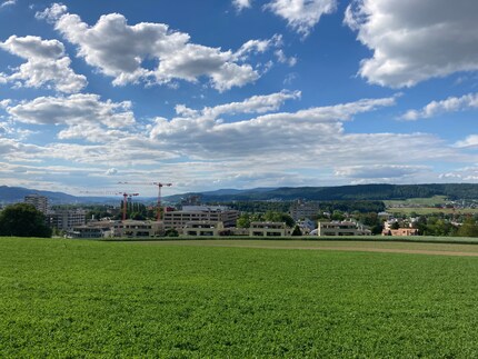 Ein Panorama aus dem iPhone SE