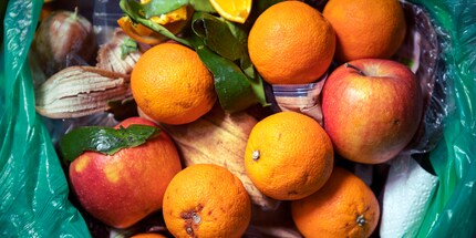 Rash decision: much of what ends up in the compost could be reused.