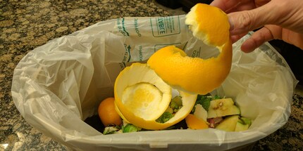 Orange peel is full of vitamins and can be reused.