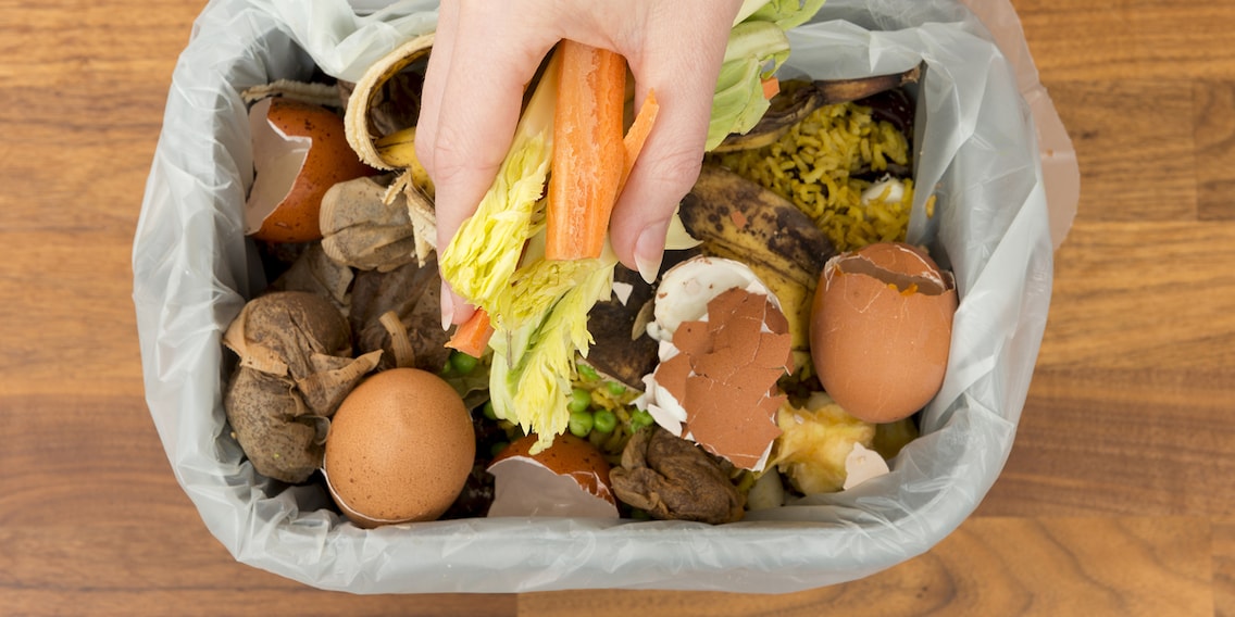 Reducing food waste: give your food a second chance