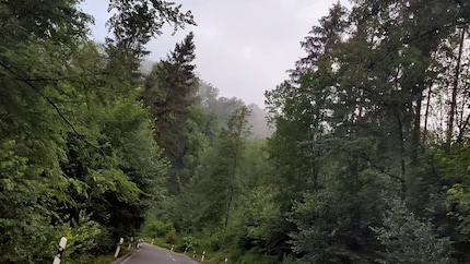Derselbe Frame, aber mit Farbkorrektur