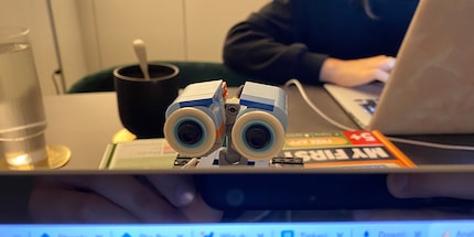 Bitte, bitte, spiel mit mir: Wer kann diesem Blick widerstehen?