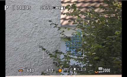 Der Autofokus des günstigeren 800mm funktioniert nur innerhalb des Quadrats. Hier siehst du die Grösse des Quadrats an einer Vollformatkamera. Bei APS-C ist der Bereich grösser.