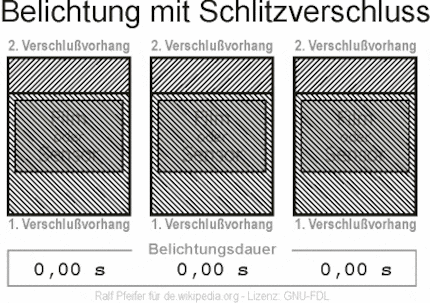 Image: wikimedia.org/Ralf Pfeifer