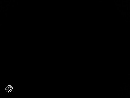 Mara Z1, Night Mode, mit Wasserzeichen, damit du dir hoffentlich nicht verarscht vorkommst