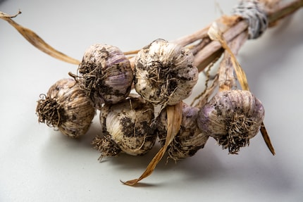 This article gets better with garlic.