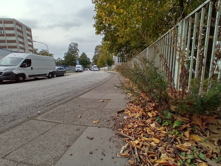Wide angle Alcatel 3x