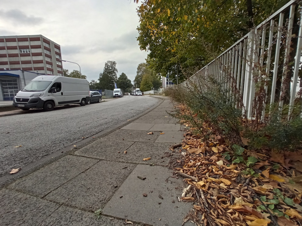 Weitwinkel Xiaomi Redmi 9
