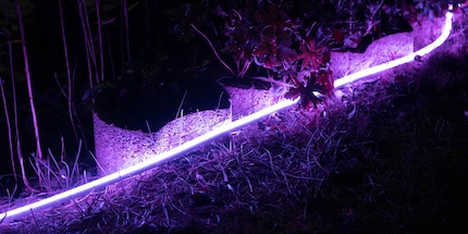 Philips Hue performs well outside too. Image source: Techtest