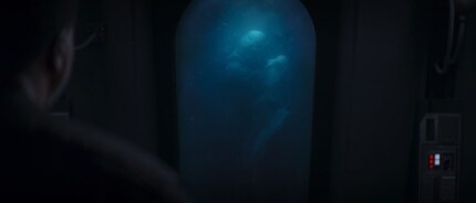 Don't tell me I’m the only one who's reminded of Supreme Leader Snoke's tanks, seen in «Rise of Skywalker»?