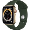 Apple Watch Series 6 (44 mm, Edelstahl, 4G, S/M, M/L)