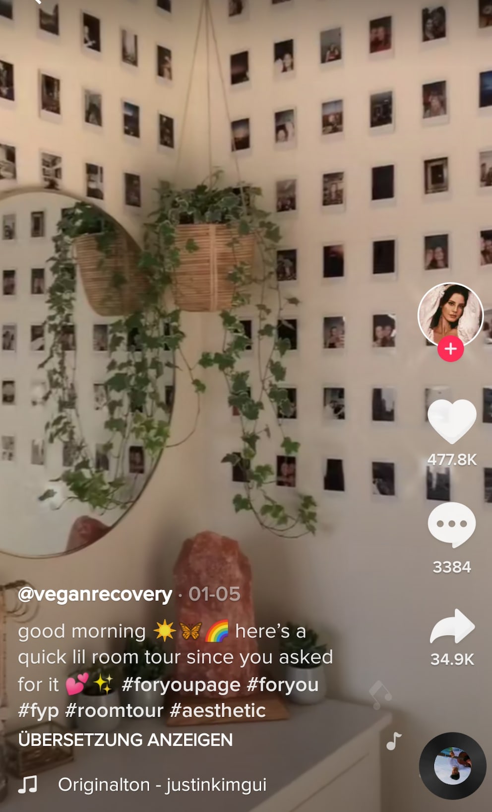 Die kleinsten Polaroids werden in der Masse gross. Bild: TikTokerin «Veganrecovery»