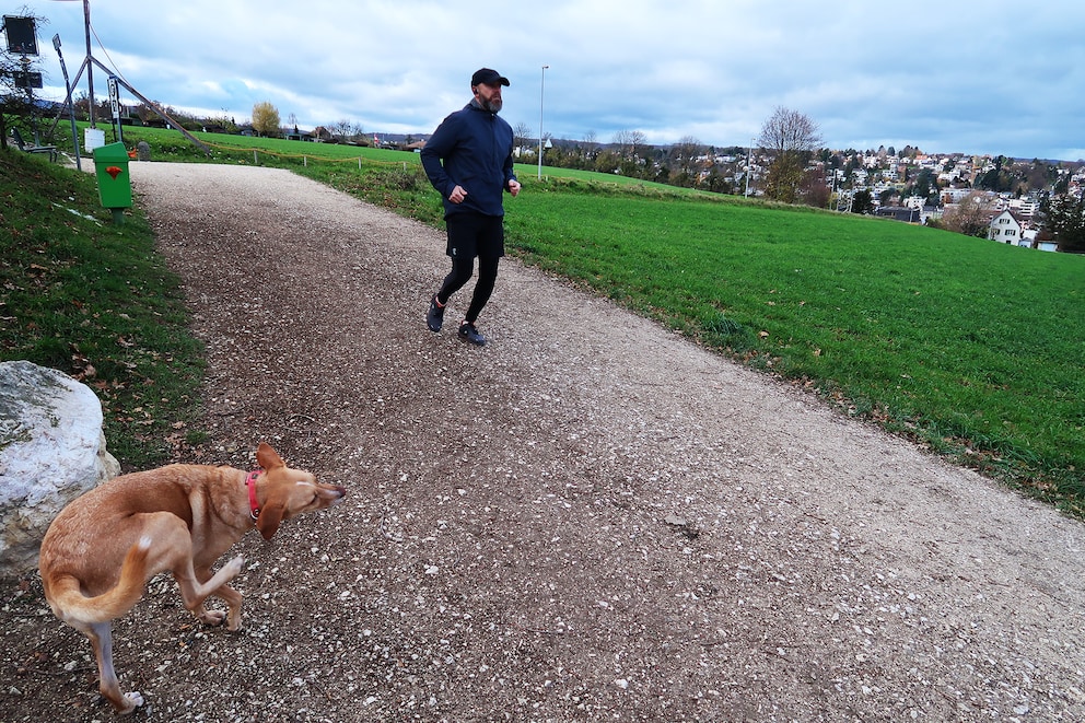 Auch mein Hund arbeitet an seinen Grundlagen. Bei ihm geht es jedoch mehr in Richtung Yoga.